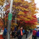 대둔산장 이미지