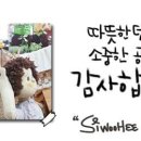 정태농장 이미지