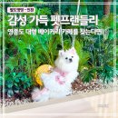 홍성군청 별관1동 1층 | 인천 영종도 애견동반 대형 카페｜베이커리가 맛있는 그리너리 바스켓