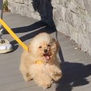 김올가 이미지