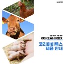 코리아히록스 이미지