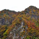 무릉계곡 진입로 이미지