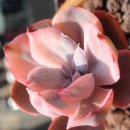 안녕 아이들 이미지