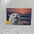 판포레스트