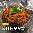 불타는닭숯불 | 신림 닭발 맛집 숯불향 제대로인 불타는꼬꼬발 본점 숯불무뼈닭발 닭목살