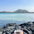 종달바당스테이 | 올레길 21코스 걸으며 만난 유채꽃밭, 지미봉, 하도해수욕장