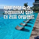 세부 더 리프 아일랜드 리조트 후기 가성비 좋은 신상 숙소 가족여행 추천
