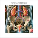 아로니아 퀸