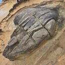 감동 | 대만 예스폭지 버스투어 고고투어 여신가이드님 감동 후기