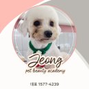 출장펫쌀롱 빙구네 | [경산애견미용학원] 경산 애견미용자격증, 국비보다 빠르게! 수강료·커리큘럼·합격전략 총정리