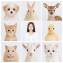자기야나는너를매일다른이유로더사랑했었고