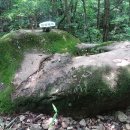 금산-46 이미지