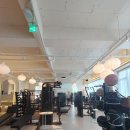 비스타짐 | 진접헬스장 비스타짐 pt 후기 리뉴얼