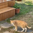 한옥스테이 단아루 이미지