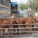 현우축산 이미지