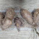 섬말농장 이미지