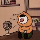 햇살과농부 이미지