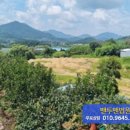 동월마을회관 이미지