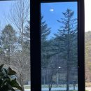 블라썸모먼트 이미지