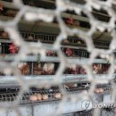 화포농장 이미지