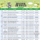 요가교실 오후반 이미지