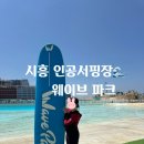거북 파크 | 시흥 거북 섬 인공 서핑장 웨이브 파크 서핑 후기