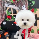 허그몽몽 이미지