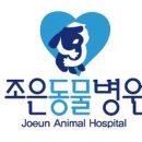 조은애견미용 이미지