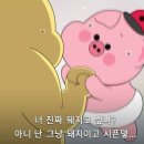 청춘꼬마김밥풍암점 이미지