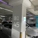 동물의왕국 동물병원 | 송파 마천역 동물의왕국 동물병원에서 강아지 1차 접종 후기 (시기, 주기, 비용, 산책, 목욕 팁)