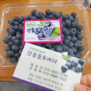 산들블루베리푸드 이미지