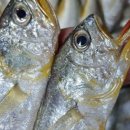 진도생선마을 이미지