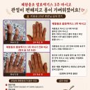 큐사랑현대 | 큐사랑 제왕충초 총정리
