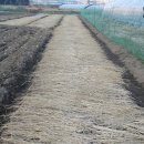 예진농장 이미지