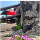 평화민박 이미지