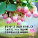 9월5일 뉴스브리핑 이미지