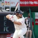 화이트엔 이미지