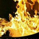 뽕마루속초점 이미지