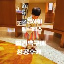 에르메스 | 상하이 에르메스 쇼핑 후기 👜우당탕탕 엉망진창 캘리백 구매후기