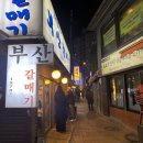 [도화동] 동네맛집 마포갈매기본점 솔직 후기 – 갈매기살은 역시 숯불 (갈매기골목 비교)