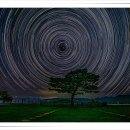 별과 소나무 이미지