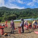 고령군 농업기술센터 이미지