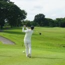 삼삼골프 이미지