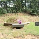 우보 이미지