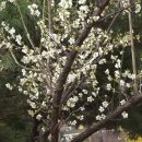 삼성공원 이미지