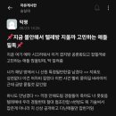 숭실대 에타.twt(텔레그램 관련) 이미지