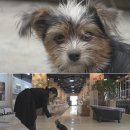 민정농장 이미지