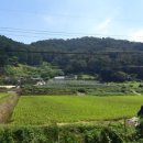 월계(회관)마을회관 이미지