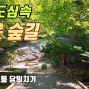 정릉 숲길, 교수마을 그리고 흥천사 이미지