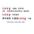 COZY COZY 코지코지